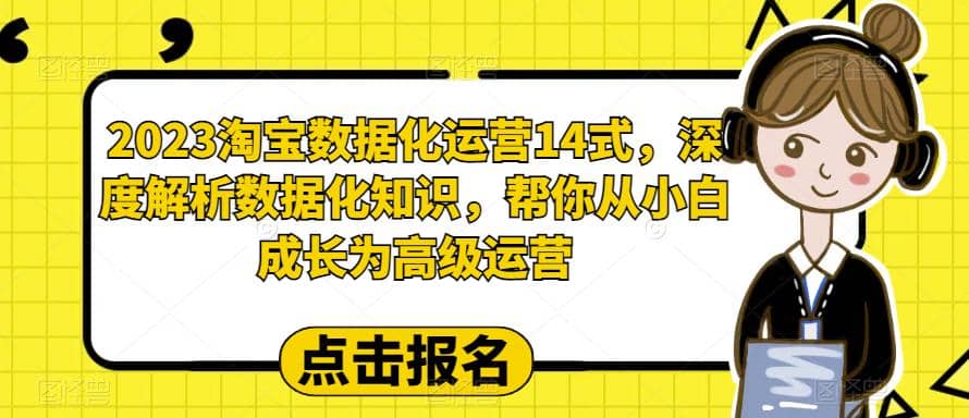 2023淘宝数据化-运营 14式，深度解析数据化知识，帮你从小白成长为高级运营-58轻创项目库