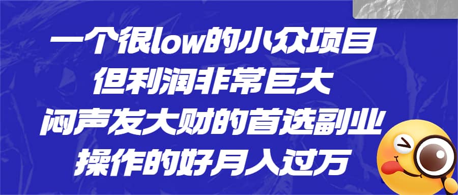 一个很low的小众项目，但利润非常巨大，闷声发大财的首选副业，月入过万-58轻创项目库