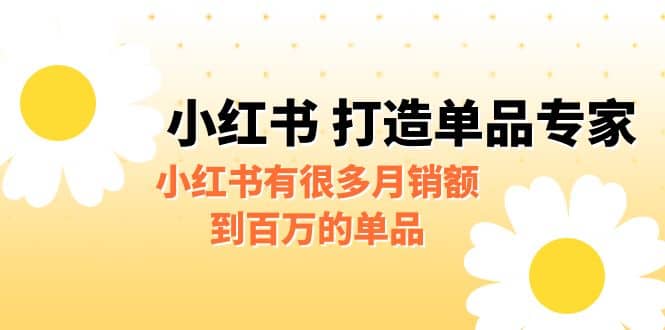 某公众号付费文章《小红书 打造单品专家》小红书有很多月销额到百万的单品-58轻创项目库