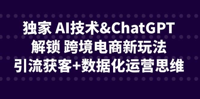 独家 AI技术ChatGPT解锁 跨境电商新玩法，引流获客 数据化运营思维-58轻创项目库