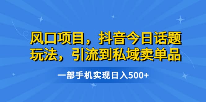 风口项目，抖音今日话题玩法，引流到私域卖单品，一部手机实现日入500-58轻创项目库