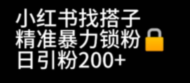 小红书找搭子暴力精准锁粉 引流日引200 精准粉-58轻创项目库