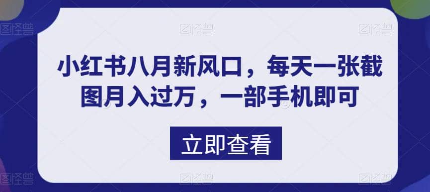 八月新风口，小红书虚拟项目一天收入1000 ，实战揭秘-58轻创项目库