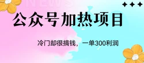 冷门公众号加热项目，一单利润300-58轻创项目库