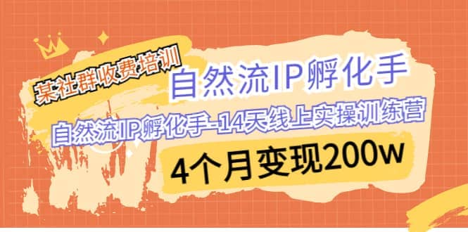 某社群收费培训：自然流IP 孵化手-14天线上实操训练营 4个月变现200w-58轻创项目库