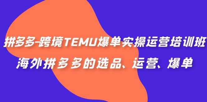 拼多多-跨境TEMU爆单实操运营培训班，海外拼多多的选品、运营、爆单-58轻创项目库