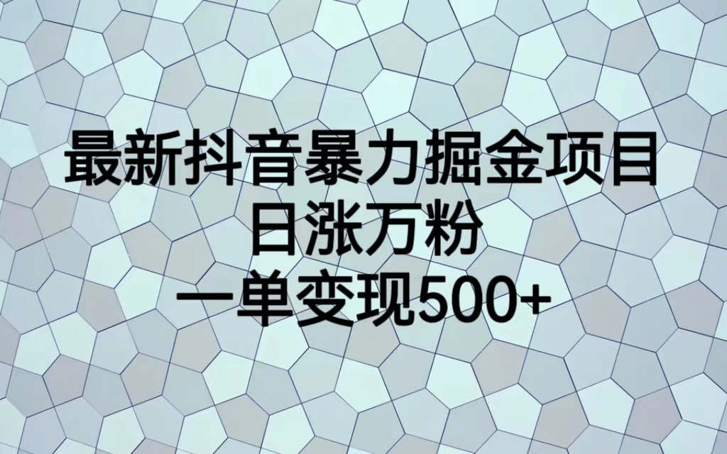 最火热的抖音暴力掘金项目，日涨万粉，多种变现方式，一单变现可达500-58轻创项目库