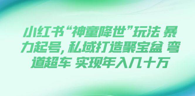 小红书“神童降世”玩法 暴力起号,私域打造聚宝盆 弯道超车 实现年入几十万-58轻创项目库