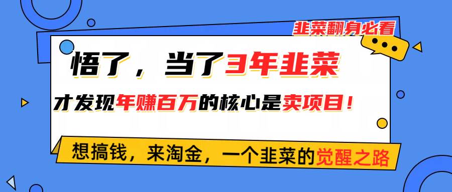 悟了，当了3年韭菜，才发现网赚圈年赚100万的核心是卖项目，含泪分享！-58轻创项目库