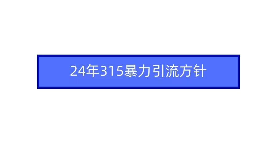 2024年315暴力引流方针-58轻创项目库