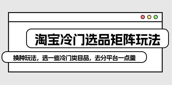 淘宝冷门选品矩阵玩法：换种玩法，选一些冷门类目品，去分平台一点羹-58轻创项目库