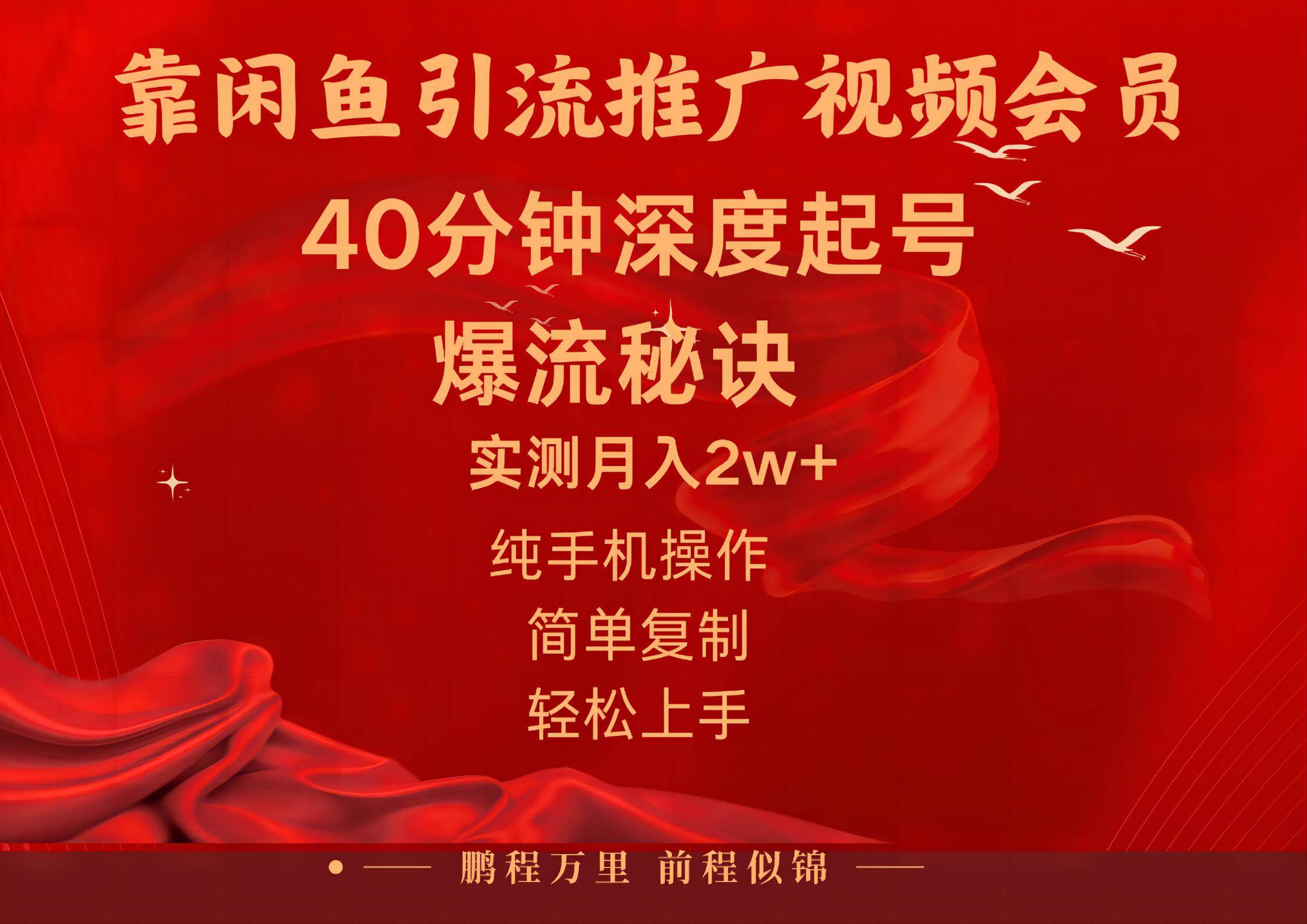 闲鱼暴力引流推广视频会员，能做到日入2W+，操作简单-58轻创项目库