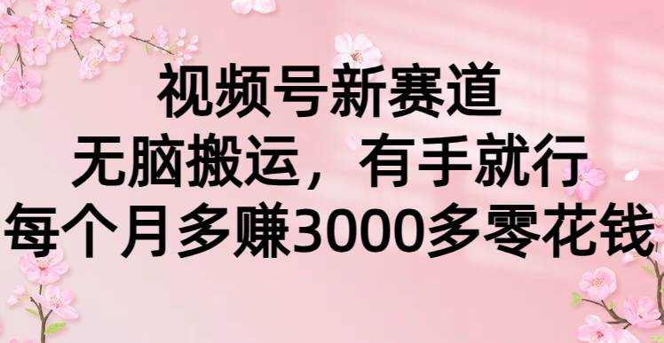 视频号新赛道，无脑搬运，有手就行，每个月多赚3000多零花钱-58轻创项目库