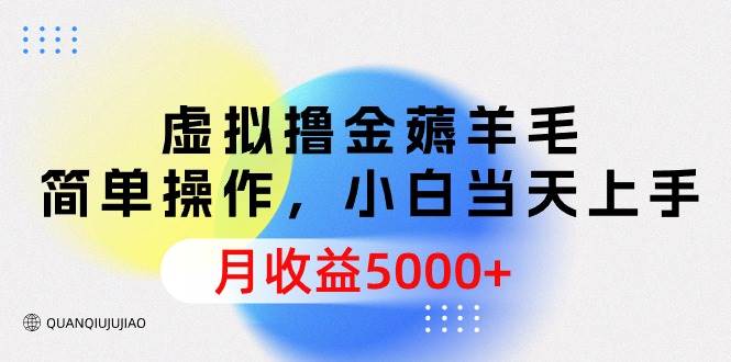 虚拟撸金薅羊毛，简单操作，小白当天上手，月收益5000+-58轻创项目库