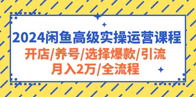 2024闲鱼高级实操运营课程：开店/养号/选择爆款/引流/月入2万/全流程-58轻创项目库