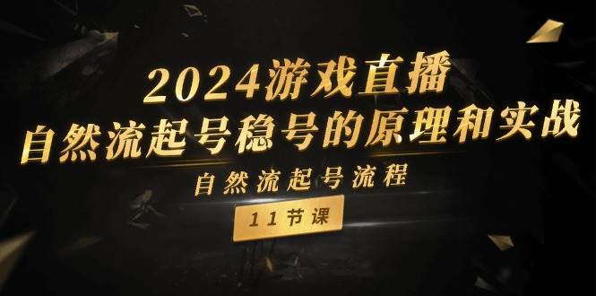 2024游戏直播-自然流起号稳号的原理和实战，自然流起号流程（11节）-58轻创项目库