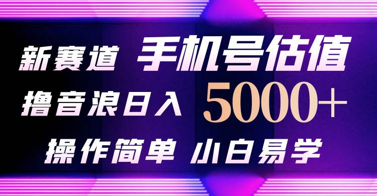 抖音不出境直播【手机号估值】最新撸音浪，日入5000+，简单易学，适合…-58轻创项目库