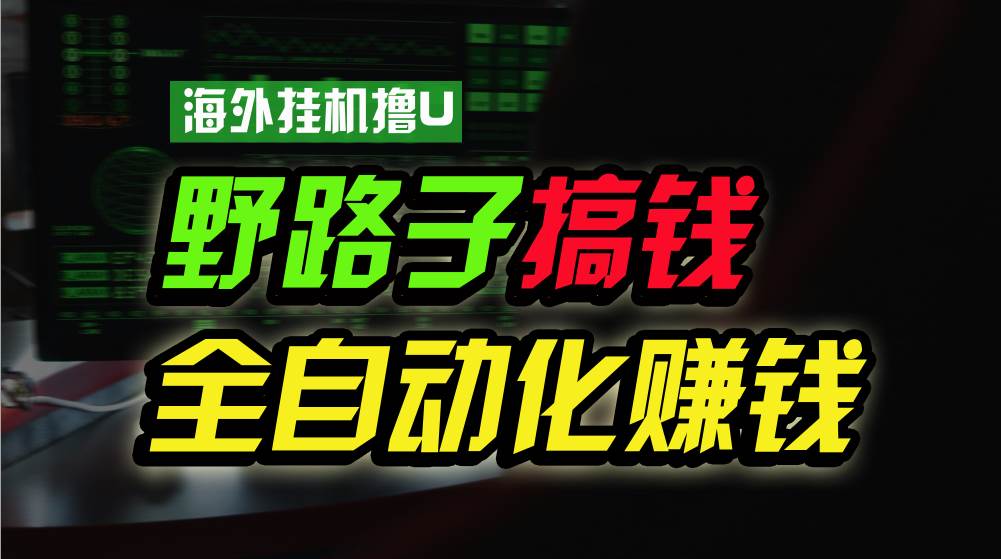 海外挂机撸U新平台，日赚8-15美元，全程无人值守，可批量放大，工作室内…-58轻创项目库