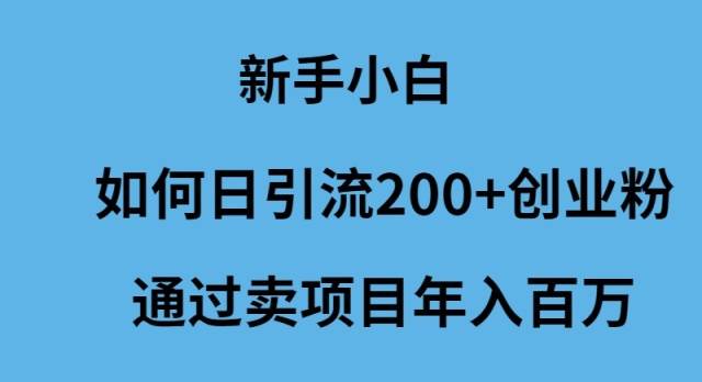 新手小白如何日引流200+创业粉通过卖项目年入百万-58轻创项目库