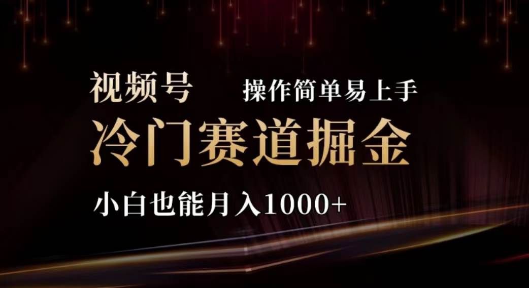 2024视频号冷门赛道掘金，操作简单轻松上手，小白也能月入1000+-58轻创项目库