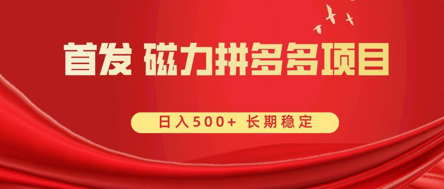 首发 磁力拼多多自撸  日入500+-58轻创项目库