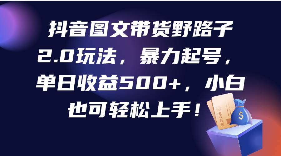 抖音图文带货野路子2.0玩法，暴力起号，单日收益500+，小白也可轻松上手！-58轻创项目库