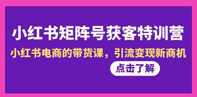 小红书-矩阵号获客特训营-第10期，小红书电商的带货课，引流变现新商机-58轻创项目库