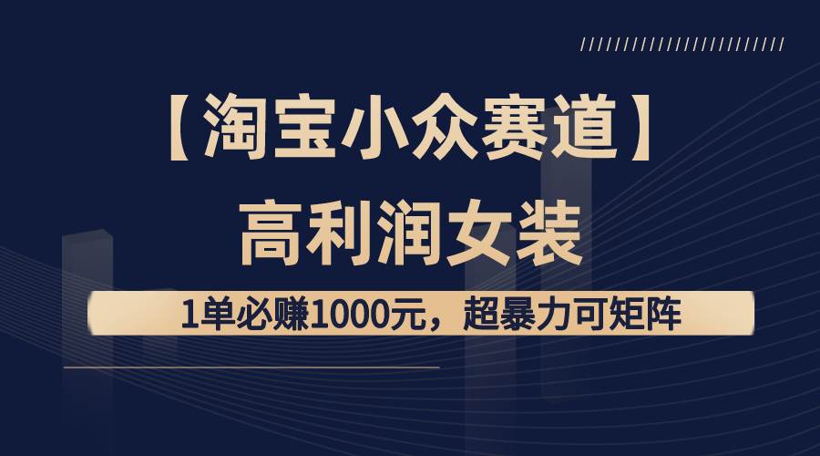 【淘宝小众赛道】高利润女装：1单必赚1000元，超暴力可矩阵-58轻创项目库