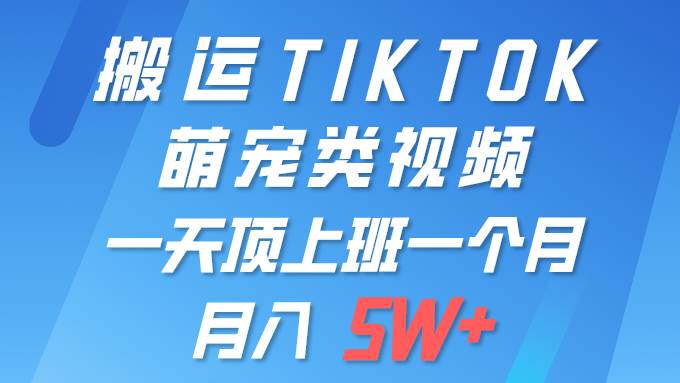 一键搬运TIKTOK萌宠类视频 一部手机即可操作 所有平台均可发布 轻松月入5W+-58轻创项目库