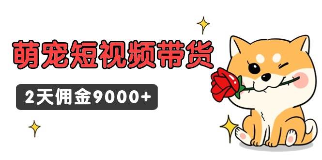 东哲日记·萌宠短视频带货，2天佣金9000+-58轻创项目库