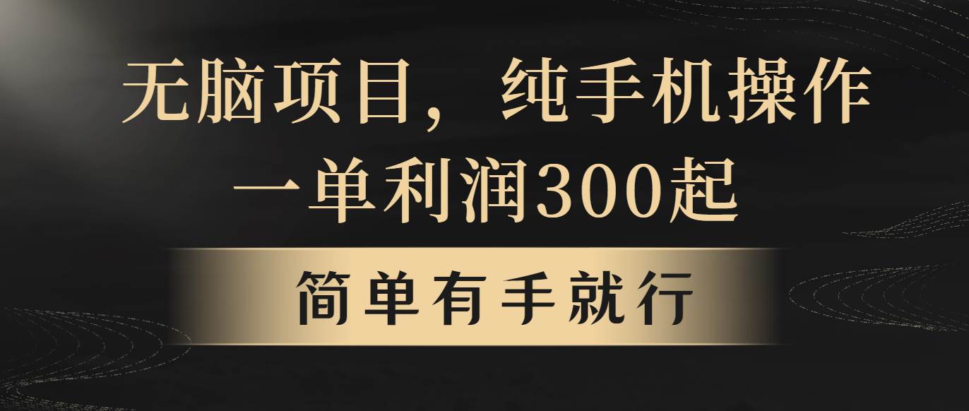 无脑项目，一单几百块，轻松月入5w+，看完就能直接操作-58轻创项目库