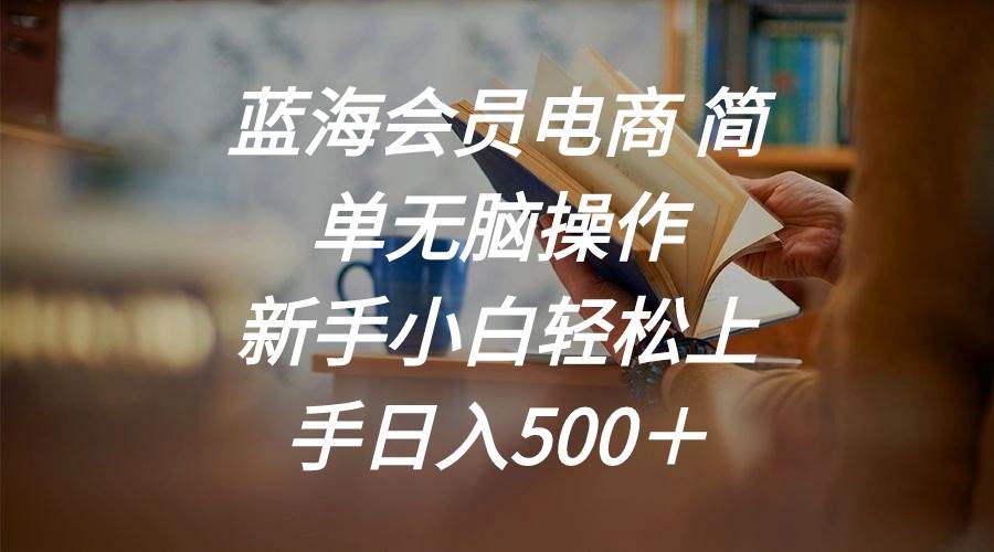 蓝海会员电商 简单无脑操作 新手小白轻松上手日入500＋-58轻创项目库