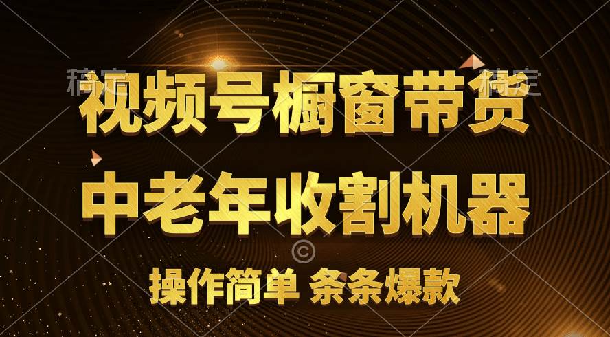 [你的孩子成功取得高位]视频号最火爆赛道，橱窗带货，流量分成计划，条…-58轻创项目库