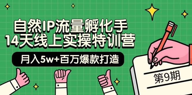 自然IP流量孵化手 14天线上实操特训营【第9期】月入5w+百万爆款打造 (74节)-58轻创项目库