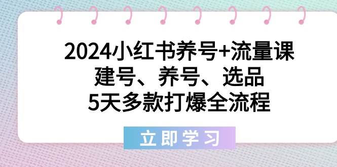 2024小红书养号+流量课：建号、养号、选品，5天多款打爆全流程-58轻创项目库