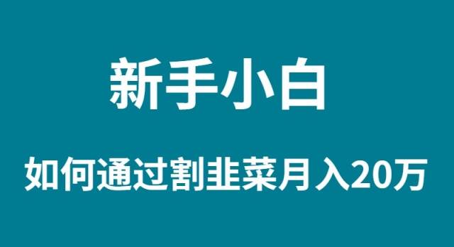 新手小白如何通过割韭菜月入 20W-58轻创项目库