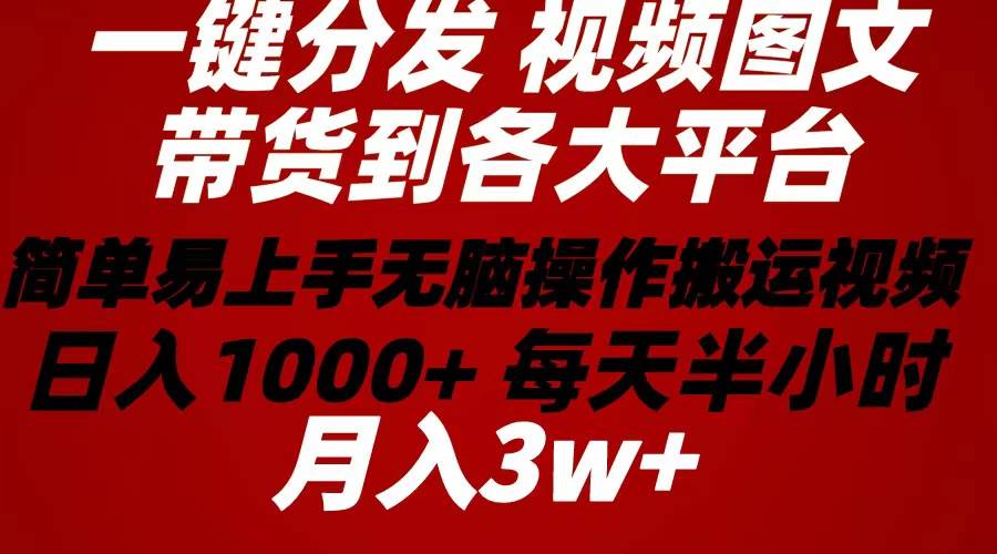 2024年 一键分发带货图文视频  简单易上手 无脑赚收益 每天半小时日入1…-58轻创项目库