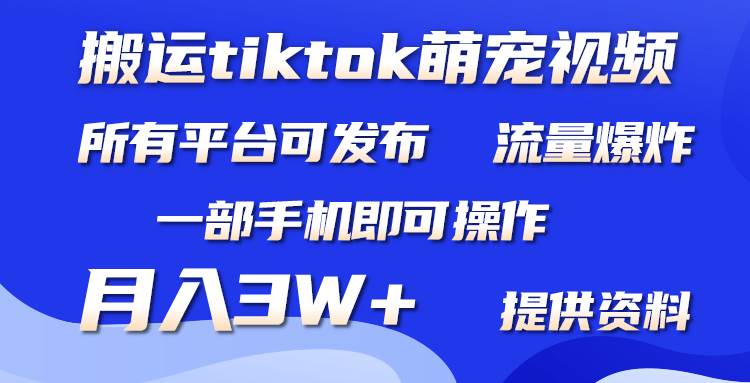 搬运Tiktok萌宠类视频，一部手机即可。所有短视频平台均可操作，月入3W+-58轻创项目库