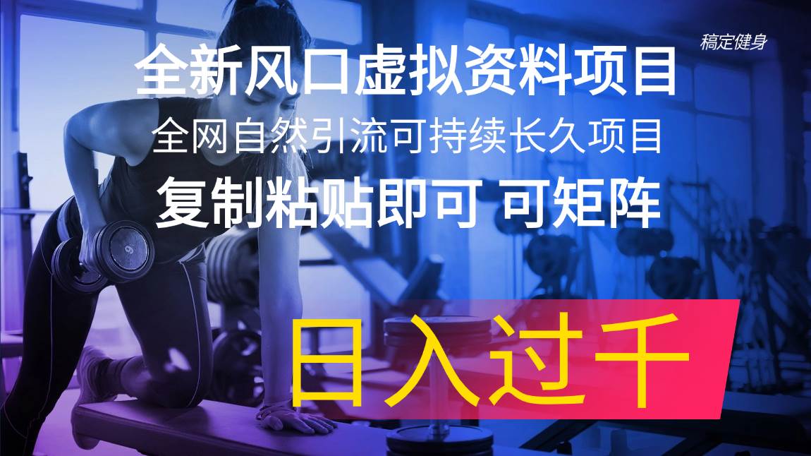 全新风口虚拟资料项目 全网自然引流可持续长久项目 复制粘贴即可可矩阵…-58轻创项目库