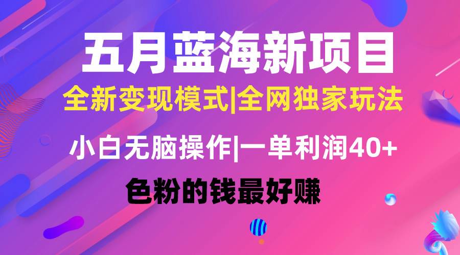 五月蓝海项目全新玩法，小白无脑操作，一天几分钟，矩阵操作，月入4万+-58轻创项目库