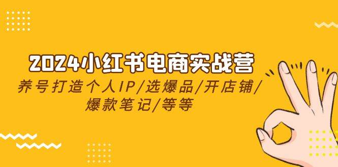 2024小红书电商实战营，养号打造IP/选爆品/开店铺/爆款笔记/等等（24节）-58轻创项目库