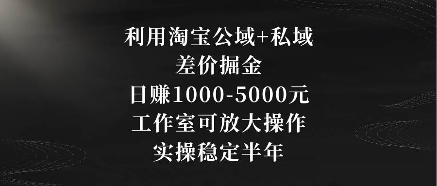 利用淘宝公域+私域差价掘金，日赚1000-5000元，工作室可放大操作，实操…-58轻创项目库