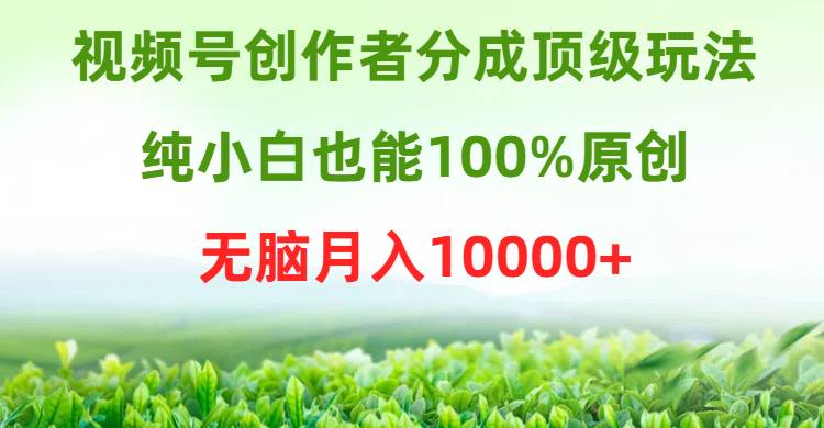 视频号创作者分成顶级玩法，纯小白也能100%原创，无脑月入10000+-58轻创项目库