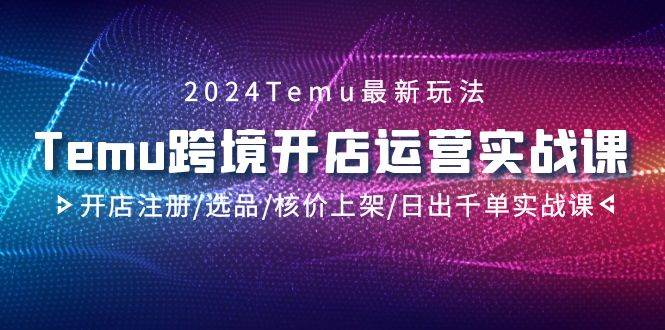 2024Temu跨境开店运营实战课，开店注册/选品/核价上架/日出千单实战课-58轻创项目库