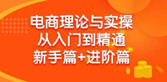 电商理论与实操从入门到精通 新手篇+进阶篇-58轻创项目库