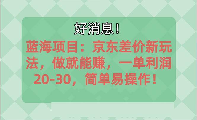 越早知道越能赚到钱的蓝海项目：京东大平台操作，一单利润20-30，简单…-58轻创项目库