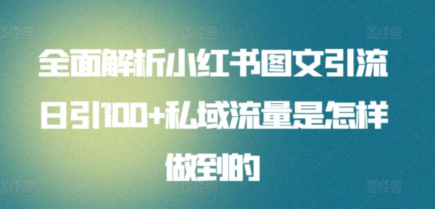 全面解析小红书图文引流日引100私域流量是怎样做到的-58轻创项目库