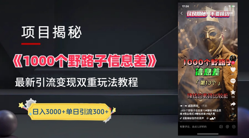 一千个野路子信息差24年最新玩法教程附带变现方法和引流的玩法具体拆解-58轻创项目库