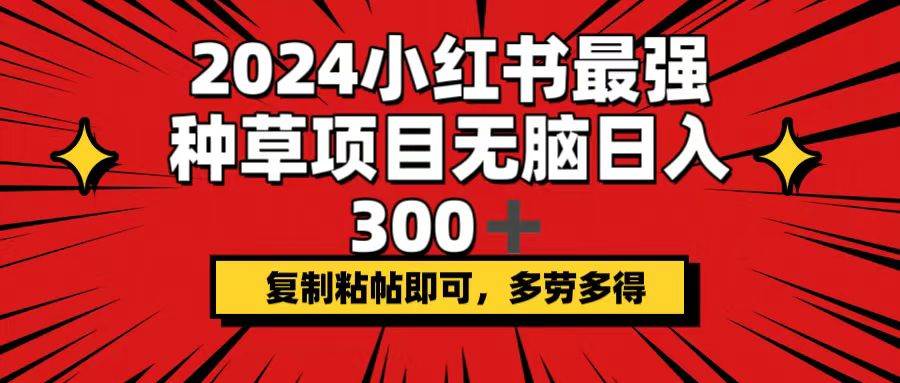 2024小红书最强种草项目，无脑日入300+，复制粘帖即可，多劳多得-58轻创项目库