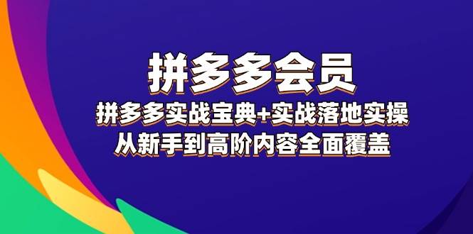 拼多多 会员，拼多多实战宝典+实战落地实操，从新手到高阶内容全面覆盖-58轻创项目库